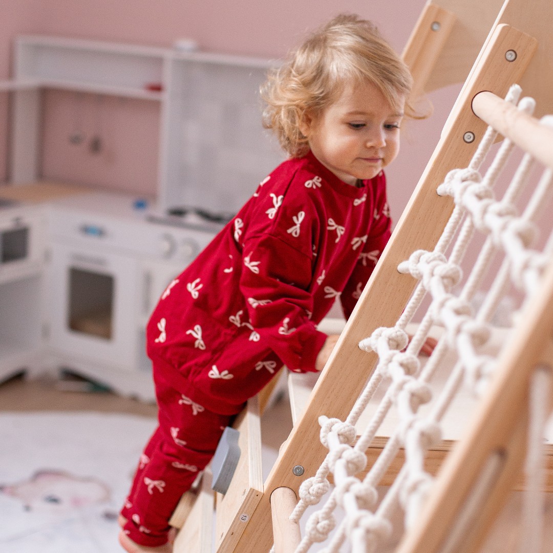 Ξύλινη οικιακή παιδική χαρά XL 5in1