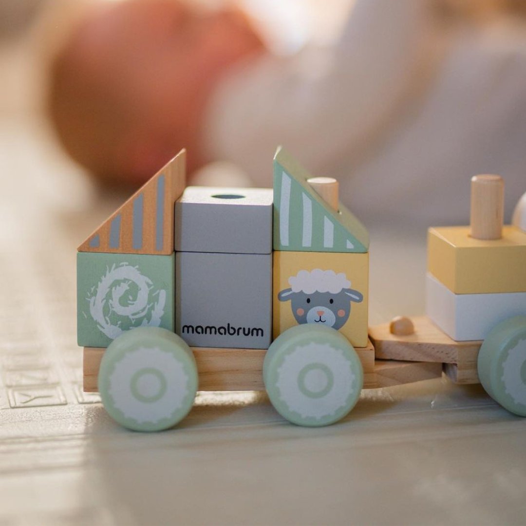 Ξύλινο τρένο με τουβλάκια για αγόρι - Αγρόκτημα