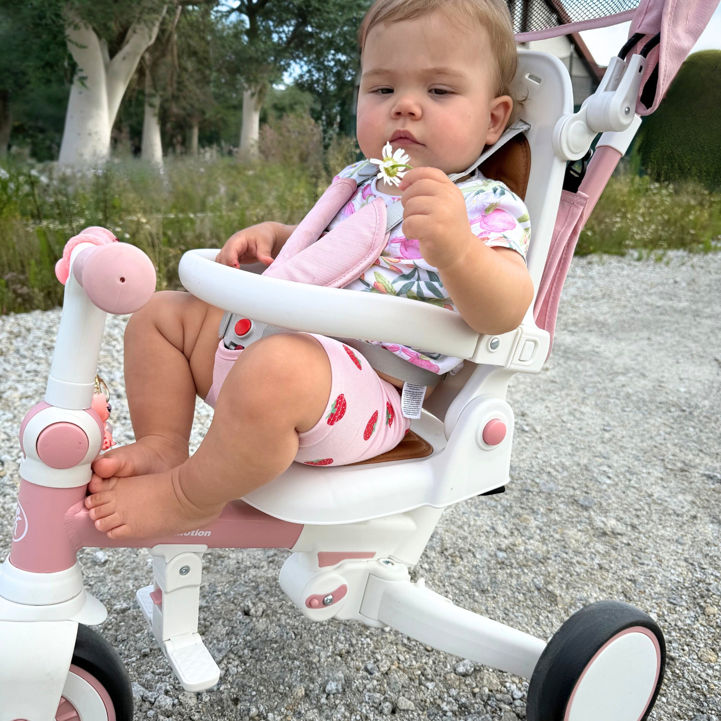 Πολυλειτουργικό τρίκυκλο 8 σε 1 TOBI FOREST - ροζ