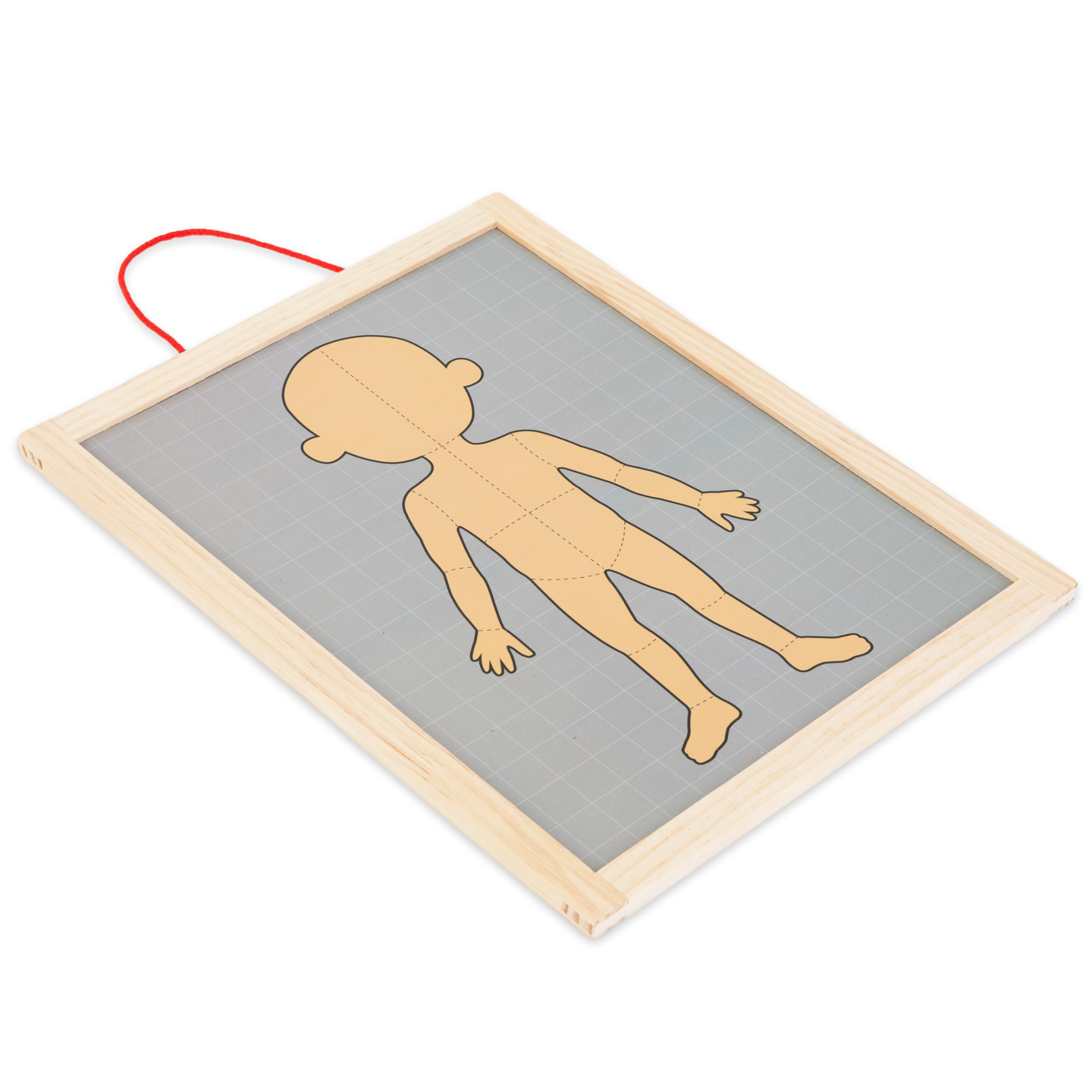 Μαγνητικά παζλ - Επιστήμη της ανατομίας - Το ανθρώπινο σώμα