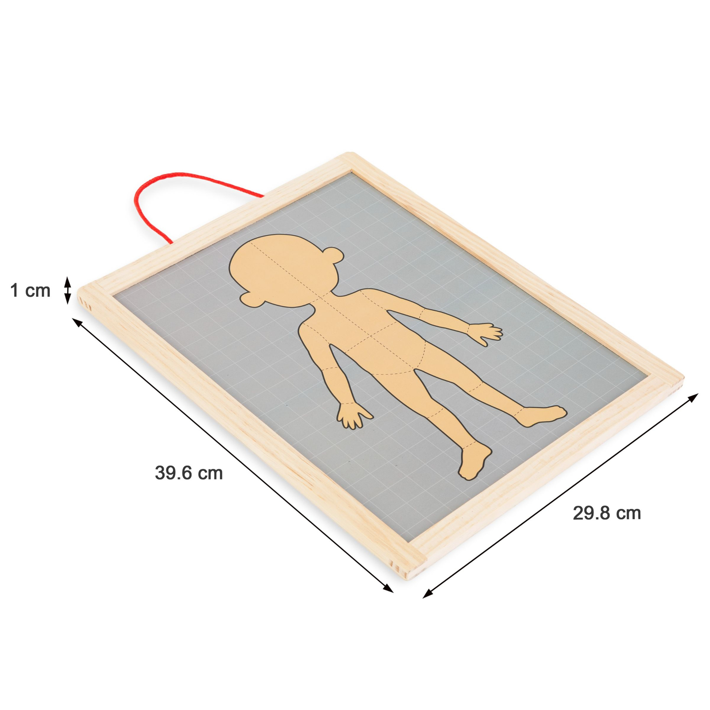 Μαγνητικά παζλ - Επιστήμη της ανατομίας - Το ανθρώπινο σώμα