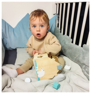 Sorter - εκπαιδευτικό ξύλινο σπίτι με τουβλάκια