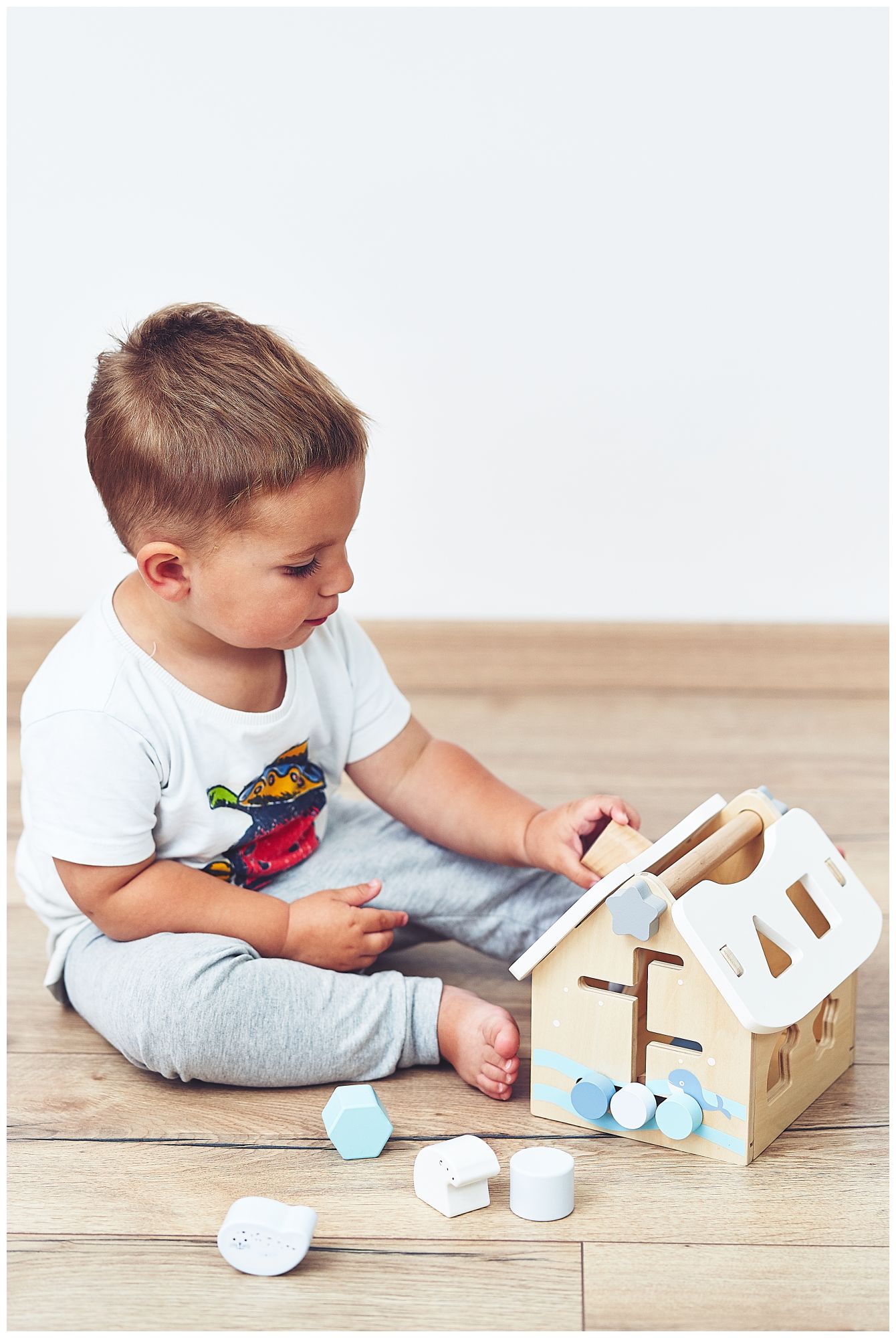 Sorter - εκπαιδευτικό ξύλινο σπίτι με τουβλάκια