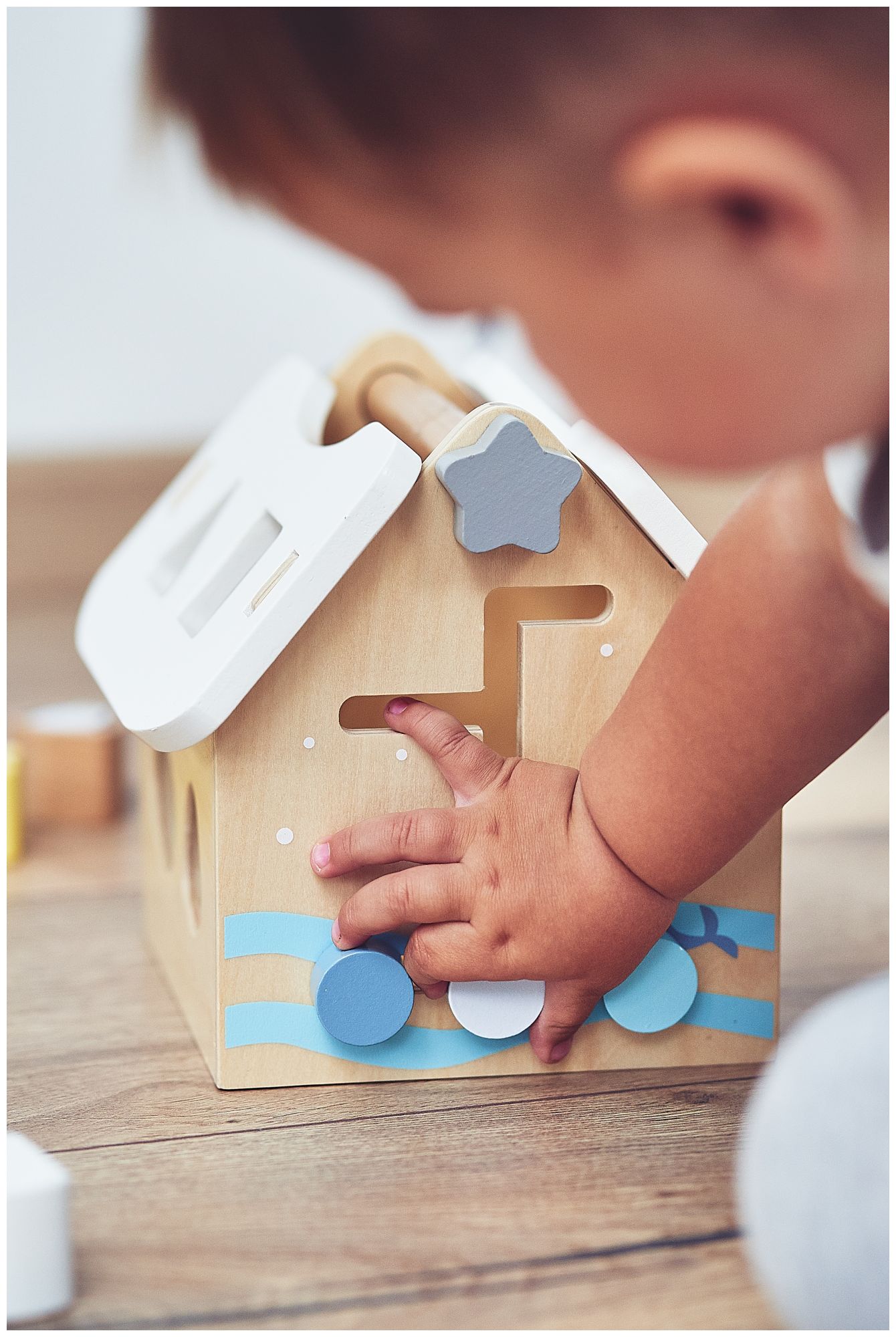 Sorter - εκπαιδευτικό ξύλινο σπίτι με τουβλάκια