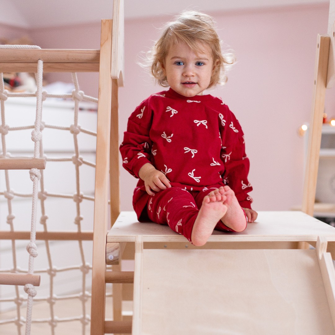 Ξύλινη οικιακή παιδική χαρά XL 5in1