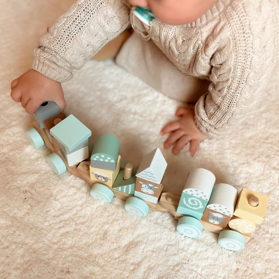 Ξύλινο τρένο με τουβλάκια για αγόρι - Αγρόκτημα