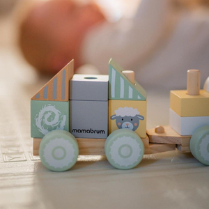 Ξύλινο τρένο με τουβλάκια για αγόρι - Αγρόκτημα